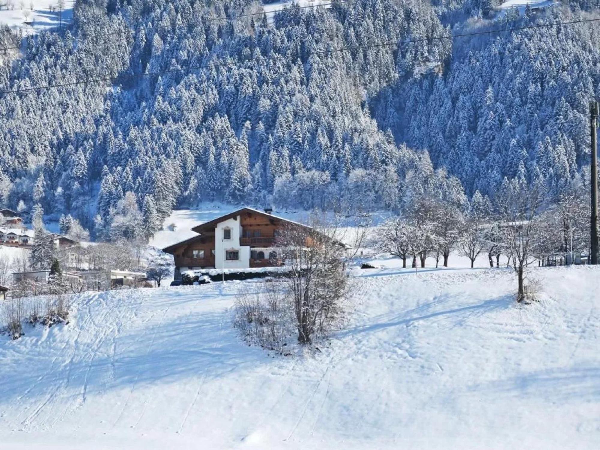 Apartment With Panoramic View Ramsau im Zillertal Εξωτερικό φωτογραφία